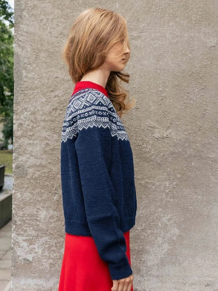 2510-02 Marius Damegenser