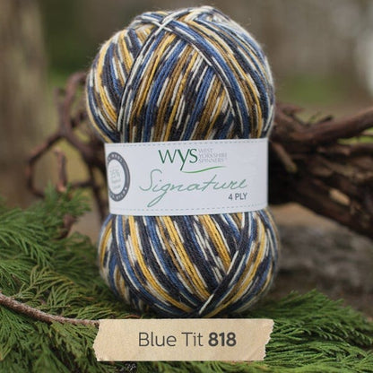 Signature 4Ply  - Country Birds