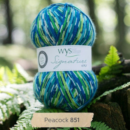 Signature 4Ply  - Country Birds